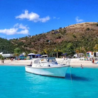 a group of people swimming in a pool of water