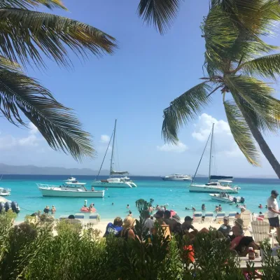 a group of people on a beach with a palm tree