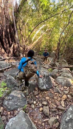 a group of people sitting on a rock next to a tree
