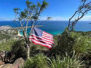 a tree next to a body of water