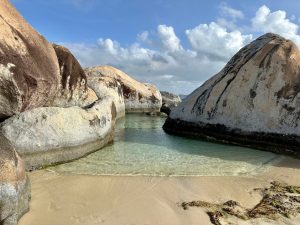 a close up of a rock
