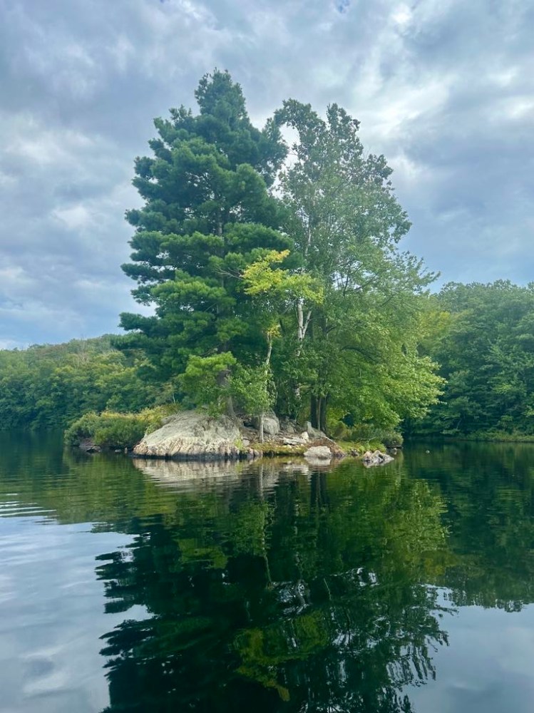 a body of water surrounded by trees