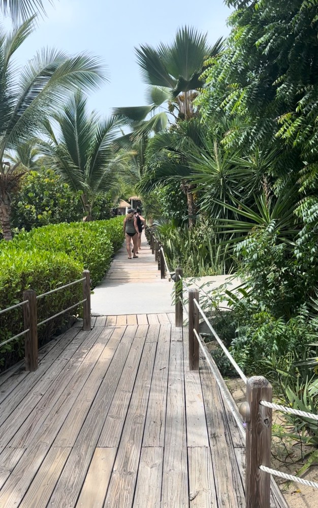 a wooden bench next to a palm tree