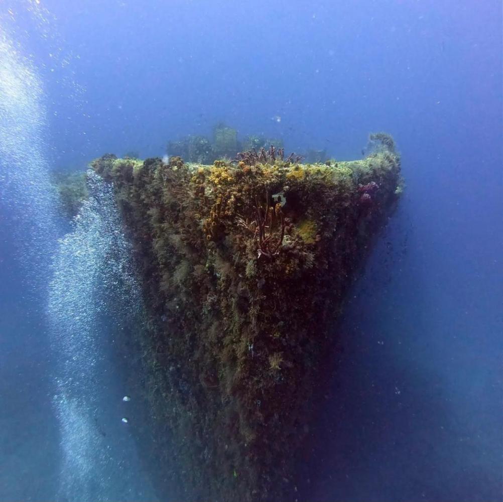 underwater view of a lake