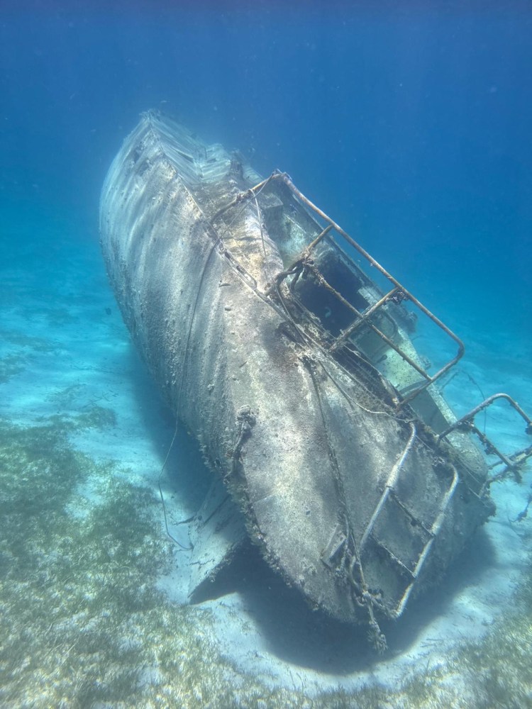 a fish swimming under water