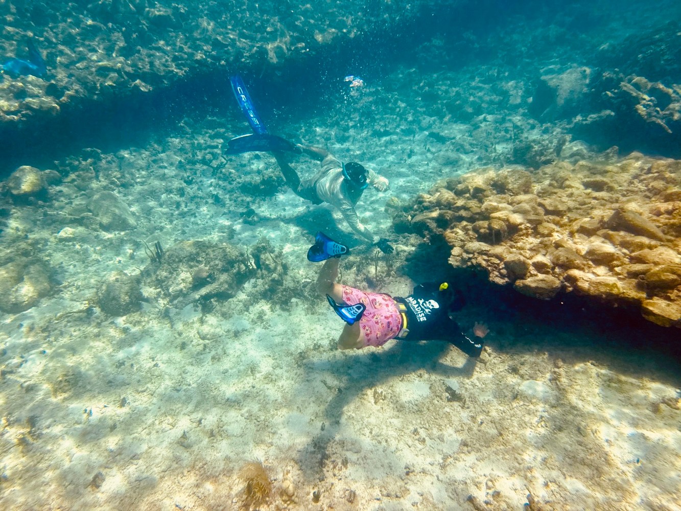 a person swimming in the water