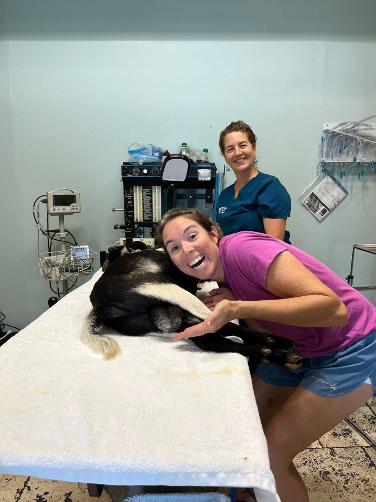 Two women smiling in a veterinary room with a goat on an exam table.