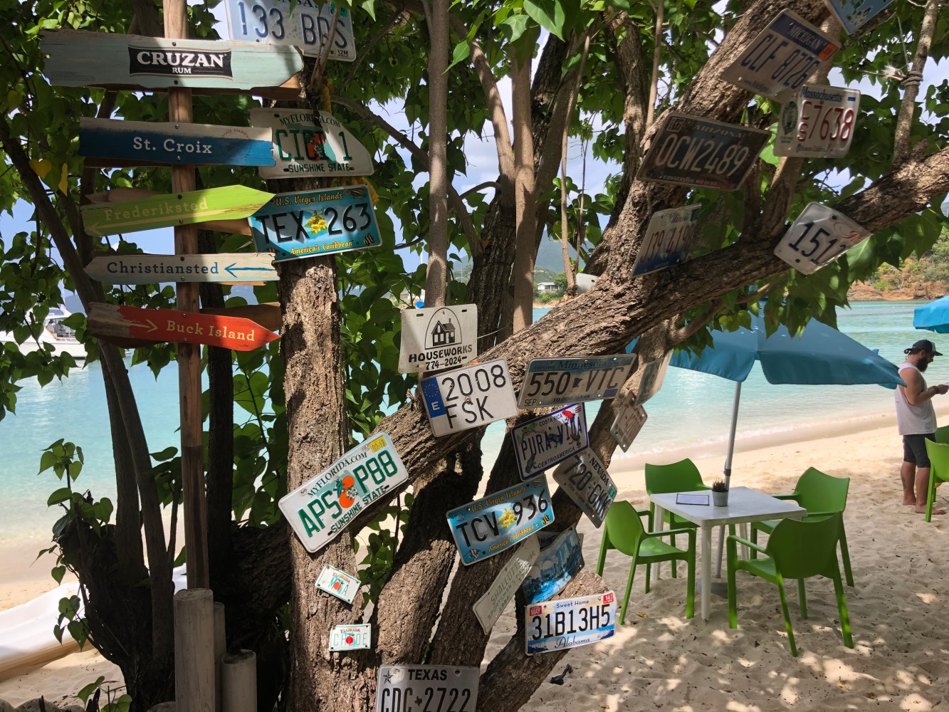 Tree with license plates and signs, beach setting with tables and greenery.