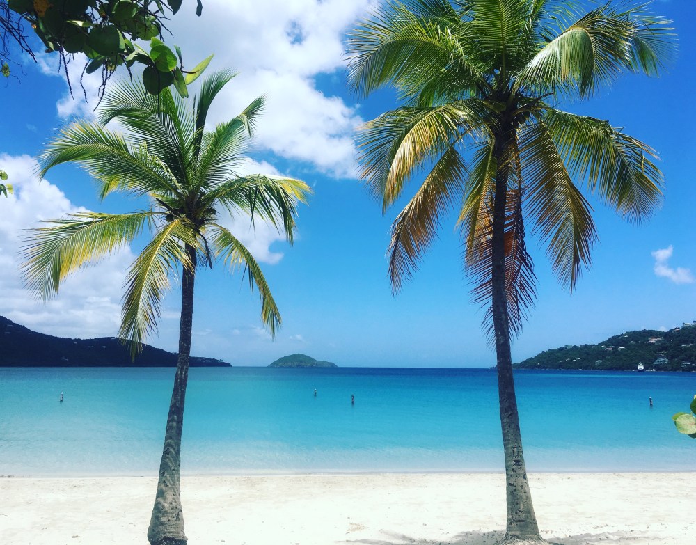 Two palm trees on a sandy beach with clear blue water and sky.
