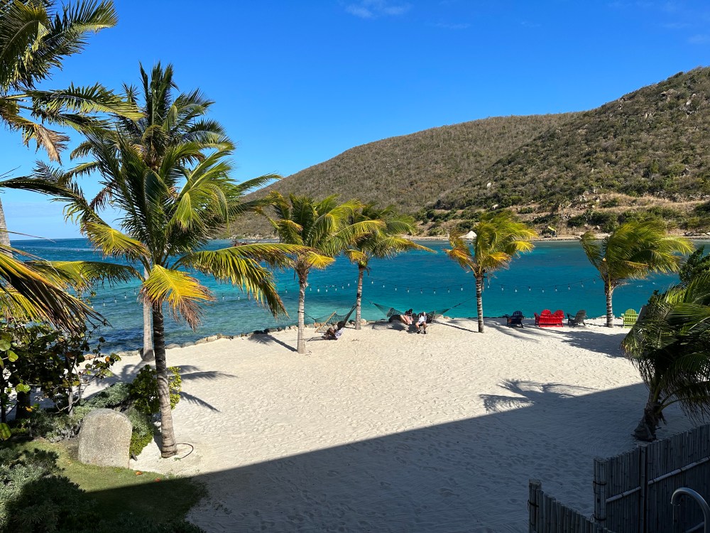 Palm trees on a sandy beach with chairs and blue sea under a clear sky.