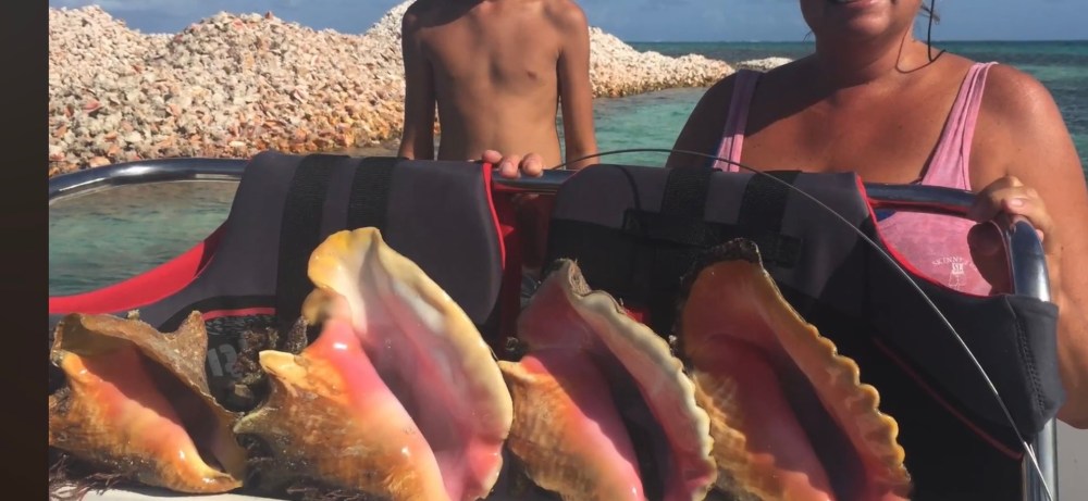 People displaying large conch shells on a boat near a rocky shore.