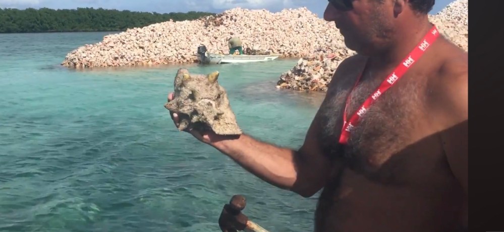 Man holding coral near a boat and rocky shoreline.